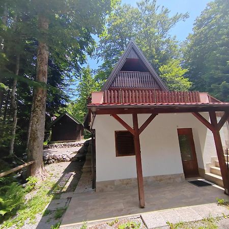 Koca Planika, Sviscaki Ilirska Bistrica Exterior foto