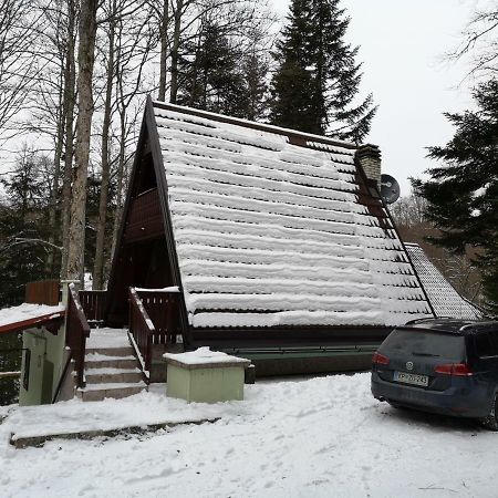 Koca Planika, Sviscaki Ilirska Bistrica Exterior foto