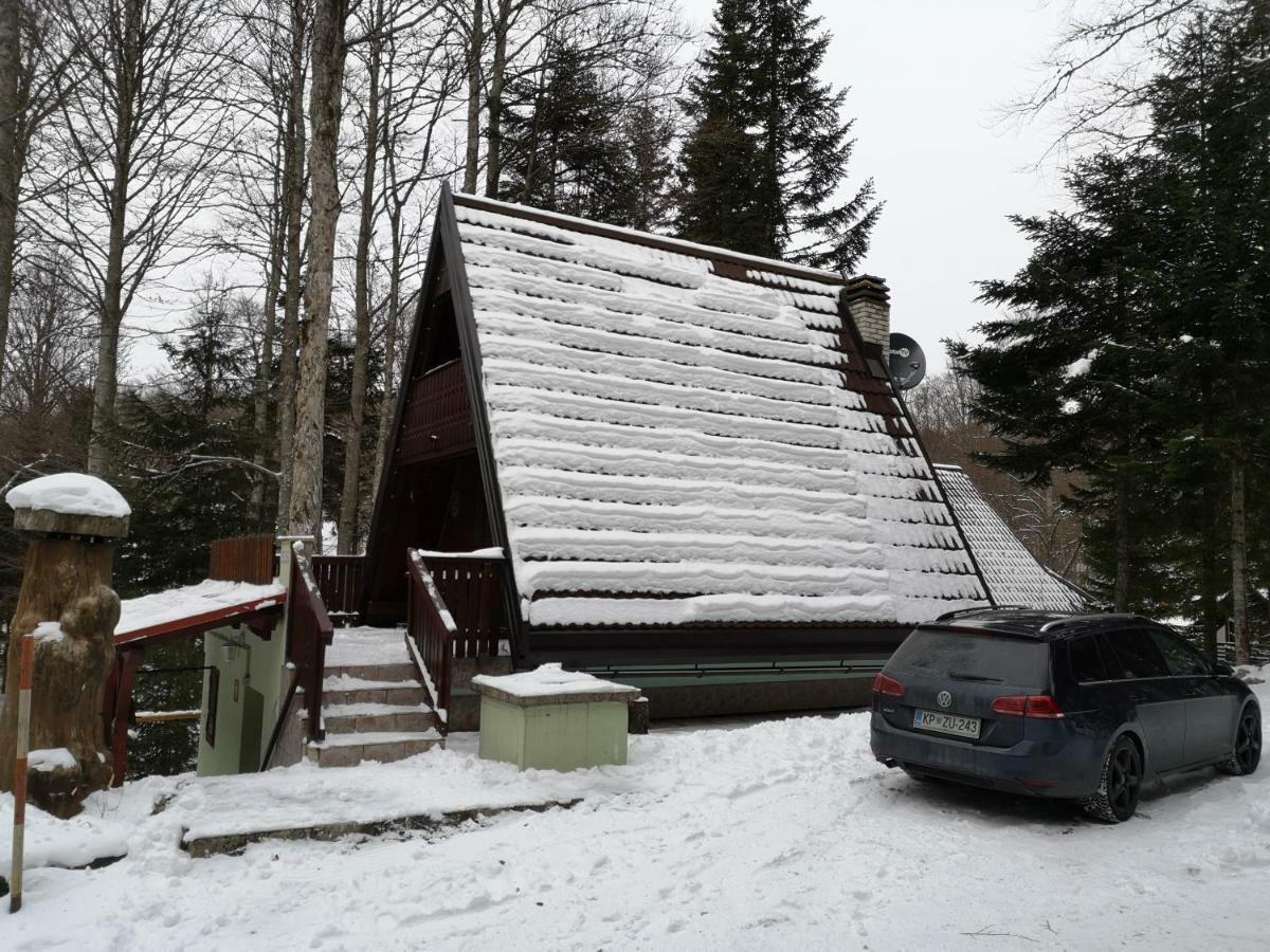 Koca Planika, Sviscaki Ilirska Bistrica Exterior foto